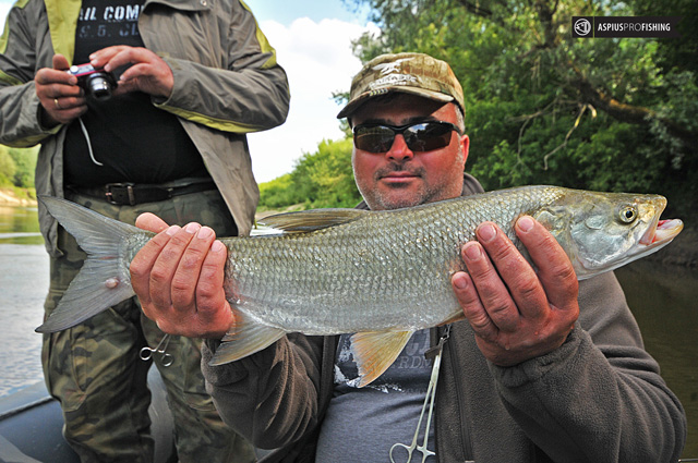 aspius-pro-fishing-g