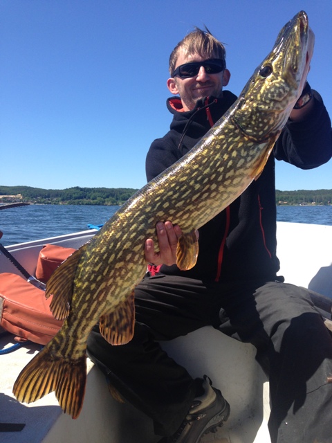 Wyprawy wędkarskie na Jezioro Żarnowiec - www.przewodnicywedkarscy.pl - Wyprawy na ryby