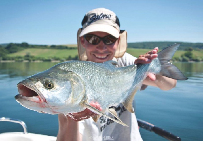 11014913_1445483309094888_4043238261480402501_n