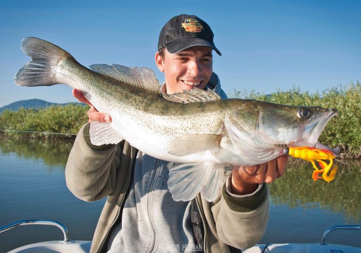 11659427_1445483242428228_632436967102096988_n