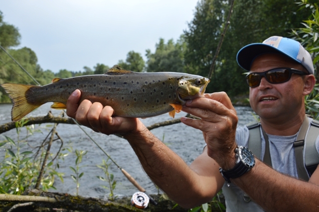 Wyprawy muchowe na pstrągi - www.przewodnicywedkarscy.pl - Fly Fishing