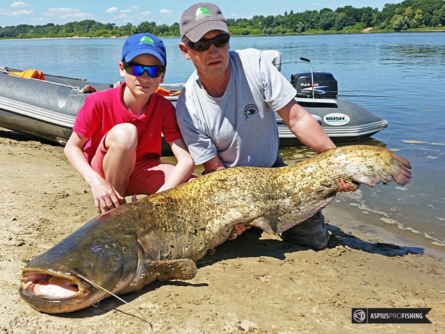 Wyprawy na sumy - www.przewodnicywedkarscy.pl - Wyprawy wędkarskie na Wisłę