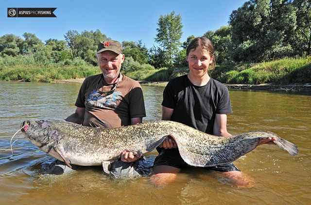 Wyprawy na sumy - www.przewodnicywedkarscy.pl - Wyprawy wędkarskie na Wisłę