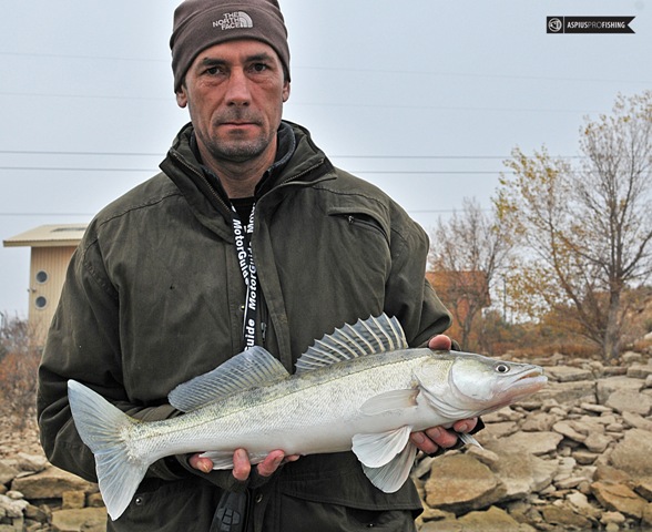 Wyprawy wędkarskie na Ebro - www.przewodnicywedkarscy.pl - Wyprawy na ryby