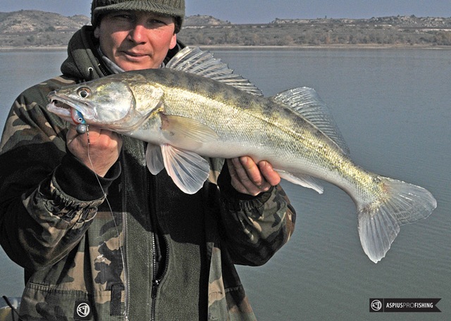 Wyprawy wędkarskie na Ebro - www.przewodnicywedkarscy.pl - Wyprawy na ryby