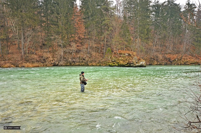 Słowenia - www.przewodnicywedkarscy.pl - wyprawy na głowacice