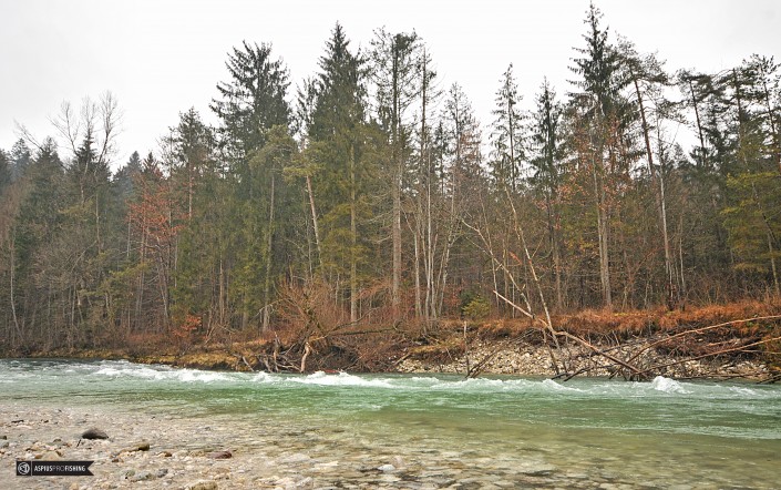 Słowenia - www.przewodnicywedkarscy.pl - wyprawy na głowacice