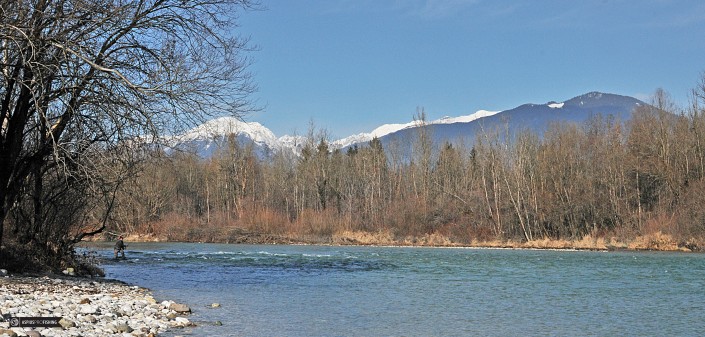 Słowenia - www.przewodnicywedkarscy.pl - wyprawy na głowacice