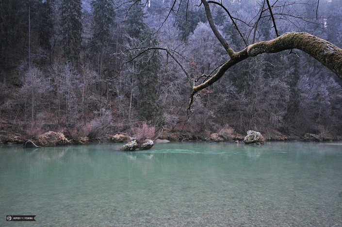 Słowenia - www.przewodnicywedkarscy.pl - wyprawy na głowacice