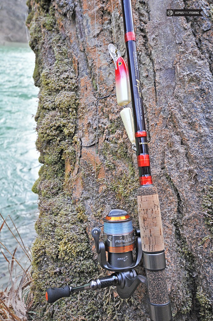 Słowenia - www.przewodnicywedkarscy.pl - wyprawy na głowacice