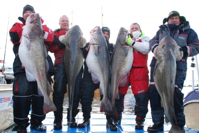 Wyspa Soroya - www.przewodnicywedkarscy.pl - Wyprawy do Norwegii Wyspa Soroya - www.przewodnicywedkarscy.pl - Wyprawy do Norwegii