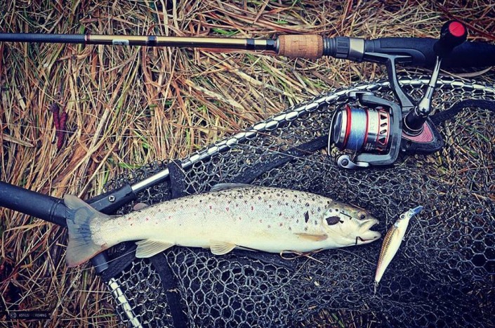 Wyprawy na pstrągi - Wyprawy na ryby - www.przewodnicywedkarscy.pl wyprawy na pstrągi - wyprawy na ryby - www.przewodnicywedkarscy.pl