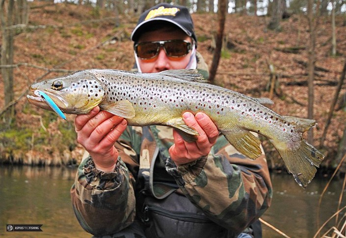 wyprawy na pstrągi - wyprawy na ryby - www.przewodnicywedkarscy.pl