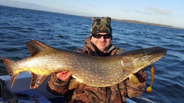 Wyprawy wędkarskie na Rugię - www.przewodnicywedkarscy.pl - Wyprawy na szczupaka