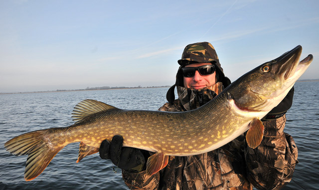 Wyprawy wędkarskie na Rugię - www.przewodnicywedkarscy.pl - Wyprawy na ryby