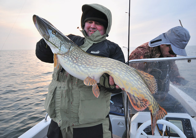 Wyprawy wędkarskie na Rugię - www.przewodnicywedkarscy.pl - Wyprawy na ryby