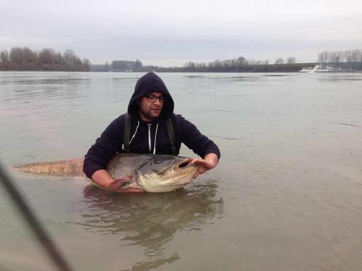 12744248_431608663714977_4664961225876256423_n