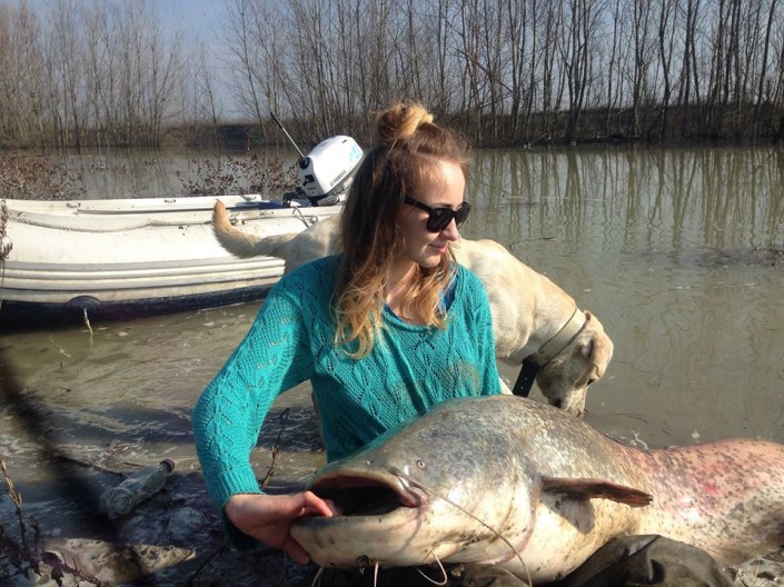 12795448_433602413515602_1111441591479208701_n