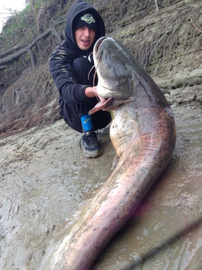 636_430902133785630_8212324525280394276_n