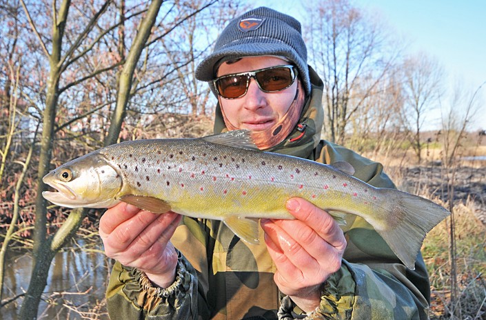 Wyprawy na pstrągi - www.przewodnicywedkarscy.pl - pstrąg potokowy