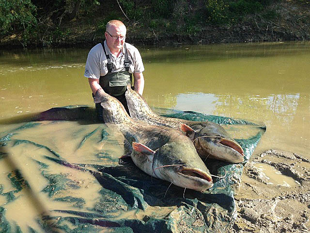 Wyprawy na ryby - www.przewodnicywedkarscy.pl - Rzeka Pad - Włochy Wyprawy na ryby - www.przewodnicywedkarscy.pl - Rzeka Pad - Włochy