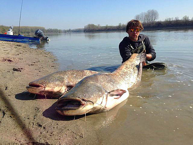 Wyprawy wędkarskie - www.przewodnicywedkarscy.pl - Rzeka Pad - Włochy Wyprawy wędkarskie - www.przewodnicywedkarscy.pl - Rzeka Pad - Włochy