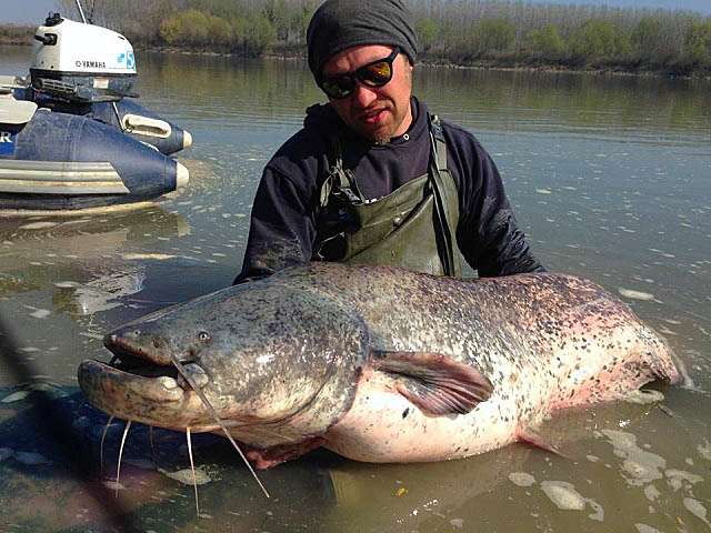 Wyprawy wędkarskie - www.przewodnicywedkarscy.pl - Rzeka Pad - Włochy Wyprawy wędkarskie - www.przewodnicywedkarscy.pl - Rzeka Pad - Włochy