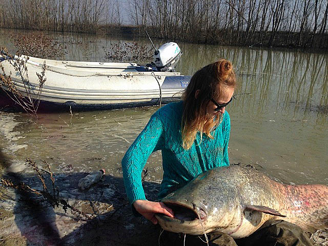 Wyprawy wędkarskie - www.przewodnicywedkarscy.pl - Rzeka Pad - Włochy Wyprawy wędkarskie - www.przewodnicywedkarscy.pl - Rzeka Pad - Włochy