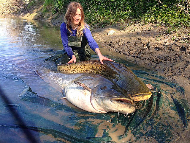 Wyprawy na ryby - www.przewodnicywedkarscy.pl - Rzeka Pad - Włochy Wyprawy na ryby - www.przewodnicywedkarscy.pl - Rzeka Pad - Włochy