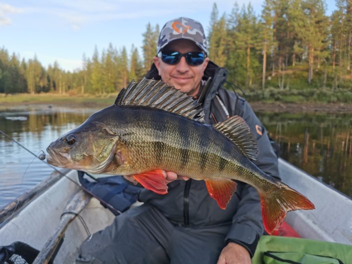 Wyprawy na ryby do Szwecji - www.przewodnicywedkarscy.pl - Laponia Sorsele